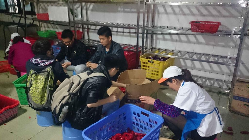 走进食堂后厨,亲历美食生产过程